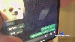 pibe23hot cam4 livecam show performer room profile
