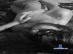 fatamorgana80 cam4 livecam show performer room profile