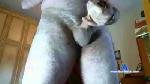 desertcock cam4 livecam show performer room profile