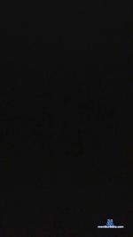 oso36x1 cam4 livecam show performer room profile