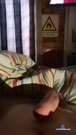 Pingaro cam4 livecam show performer room profile