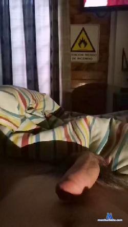 Pingaro cam4 live cam performer profile