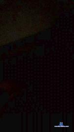 SeRi_sSs cam4 livecam show performer room profile