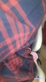 lalaposh cam4 livecam show performer room profile