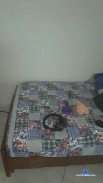 Stheffano cam4 livecam show performer room profile
