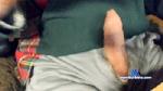 leovado cam4 livecam show performer room profile