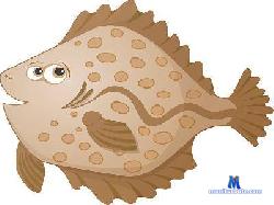 Roda_Infinitely cam4 live cam performer profile