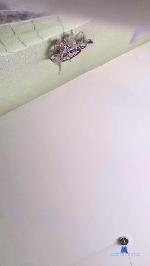 Verone50 cam4 livecam show performer room profile