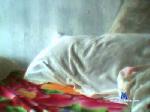 moreno_bah cam4 livecam show performer room profile