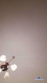 Wired4Use cam4 livecam show performer room profile