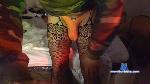 pinpanpon cam4 livecam show performer room profile