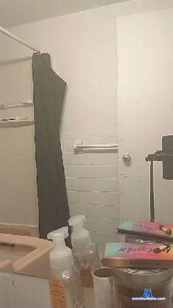 bertorob_ cam4 live cam performer profile
