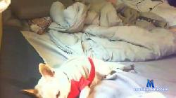 mibrunette cam4 live cam performer profile