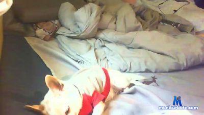 mibrunette cam4 bisexual performer from United States of America livetouch 