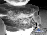 Bigdickdaddy219 cam4 livecam show performer room profile