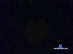 pela_13 cam4 livecam show performer room profile