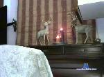Partaliothss cam4 livecam show performer room profile