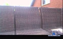 Peter7390 cam4 live cam performer profile