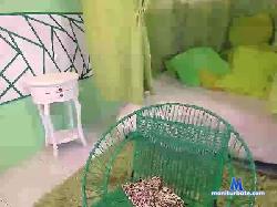 big_lovers cam4 live cam performer profile