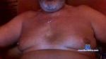 bongo_hot cam4 livecam show performer room profile