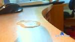 petvarad0001 cam4 livecam show performer room profile