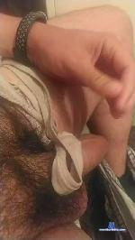 terco731 cam4 livecam show performer room profile