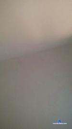 annaluss cam4 livecam show performer room profile