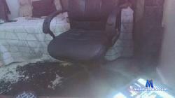 shedplay cam4 live cam performer profile