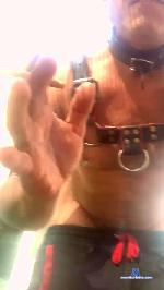 Bossadispo cam4 livecam show performer room profile