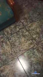 dandom29 cam4 livecam show performer room profile