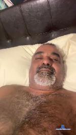 trini50fun cam4 livecam show performer room profile