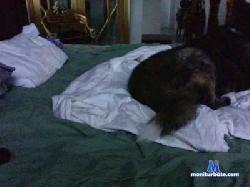 luca__81 cam4 live cam performer profile