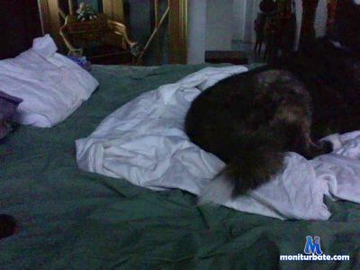 luca__81 cam4 bicurious performer from Republic of Italy splittedcock feet cock bigchapel rollthedice pvt 