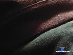 tototowawawa cam4 live cam performer profile