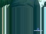 camenbear91 cam4 livecam show performer room profile