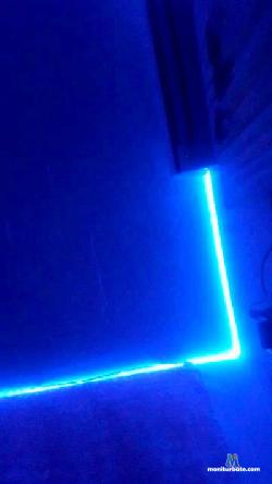 amor20201 cam4 live cam performer profile