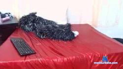 justplay_6 cam4 live cam performer profile
