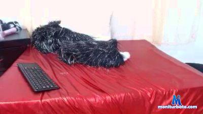 justplay_6 cam4 straight performer from Kingdom of Denmark  