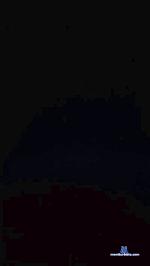 Adelaidefeet cam4 livecam show performer room profile