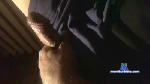 footdevil cam4 livecam show performer room profile