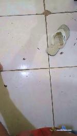 MlkSafadao25 cam4 livecam show performer room profile