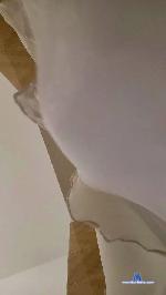 Denise0389 cam4 livecam show performer room profile