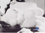 Sophie_Cat_900 cam4 livecam show performer room profile
