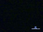 Odyn696 cam4 livecam show performer room profile