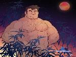 VecinoChileno cam4 livecam show performer room profile