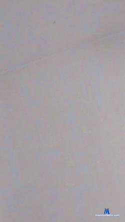 perlaneraxxx cam4 live cam performer profile