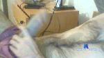 Maduro41xile cam4 livecam show performer room profile