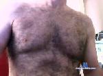 dievi cam4 livecam show performer room profile