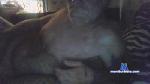 Happyjack377 cam4 livecam show performer room profile