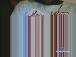 hugomartins8 cam4 livecam show performer room profile
